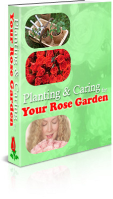 Product picture Your Rose Garden (MRR)